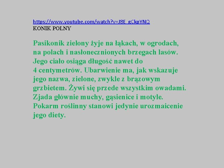 https: //www. youtube. com/watch? v=J 8 E_g. Ckp. YNQ KONIK POLNY Pasikonik zielony żyje