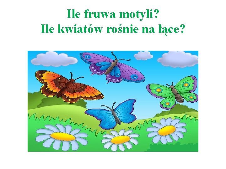 Ile fruwa motyli? Ile kwiatów rośnie na łące? 