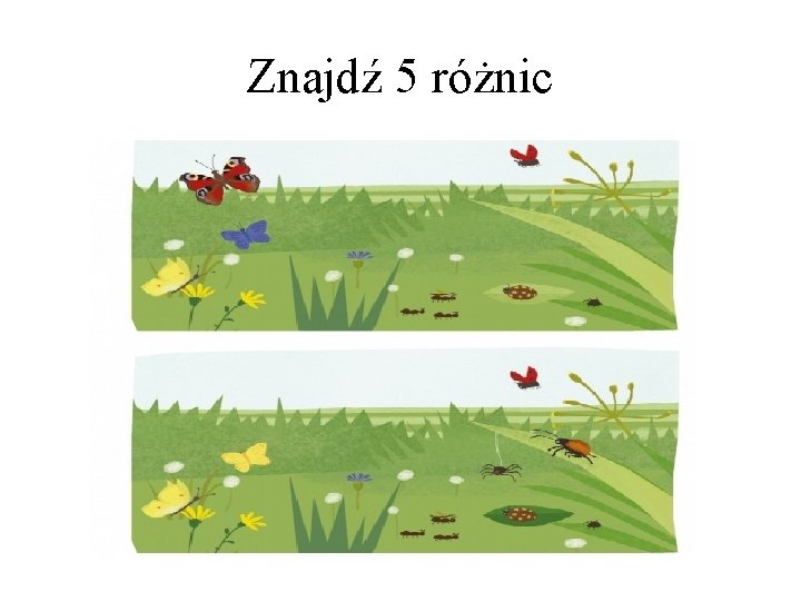 Znajdź 5 różnic 