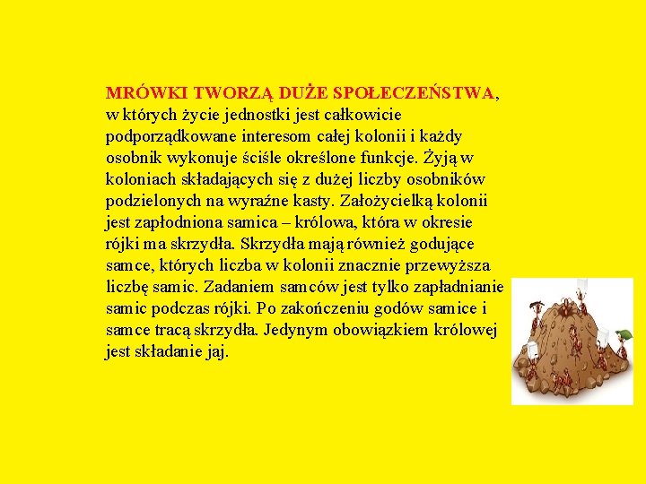 MRÓWKI TWORZĄ DUŻE SPOŁECZEŃSTWA, w których życie jednostki jest całkowicie podporządkowane interesom całej kolonii