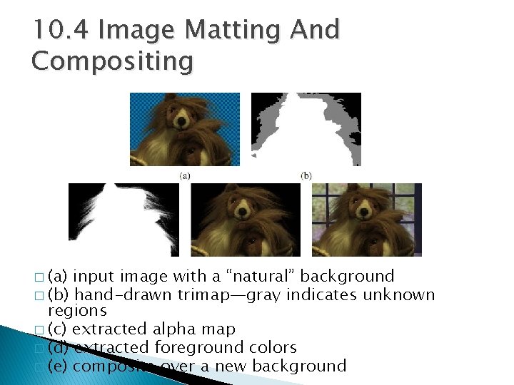 10. 4 Image Matting And Compositing � (a) input image with a “natural” background