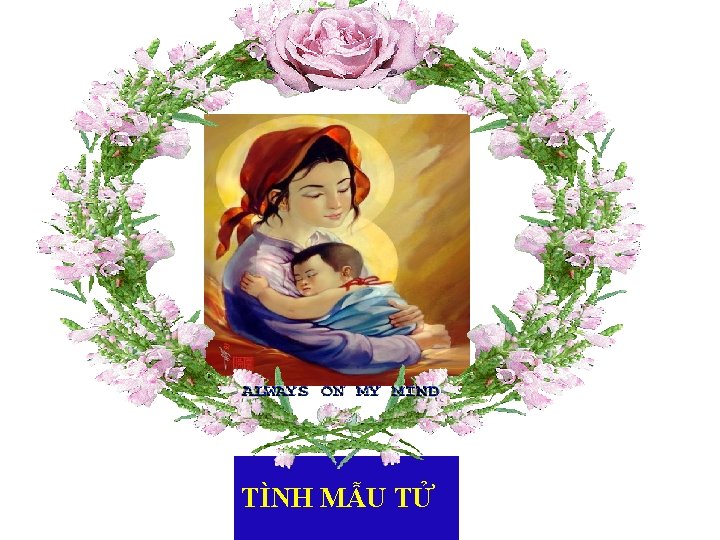 TÌNH MẪU TỬ 