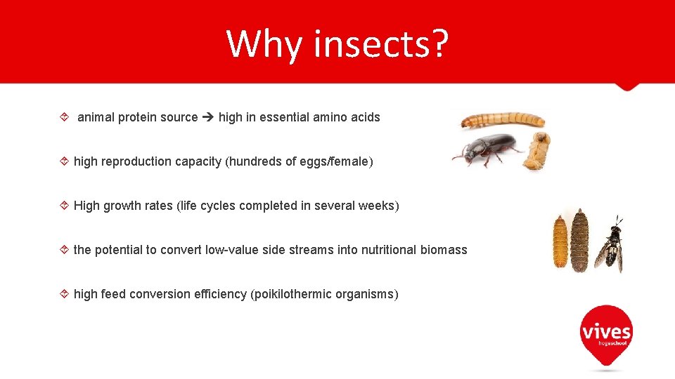 Why insects? animal protein source high in essential amino acids high reproduction capacity (hundreds