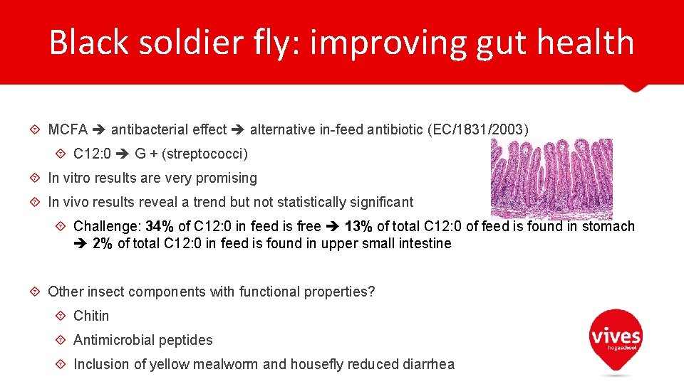 Black soldier fly: improving gut health MCFA antibacterial effect alternative in-feed antibiotic (EC/1831/2003) C