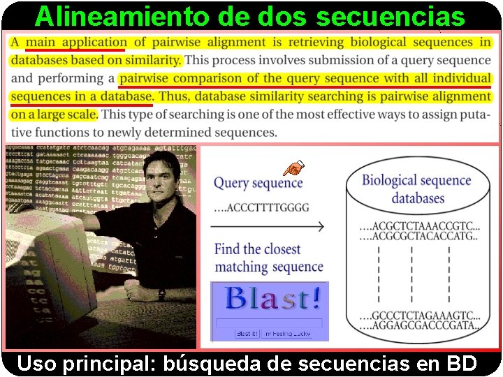 Alineamiento de dos secuencias Uso principal: búsqueda de secuencias en BD 