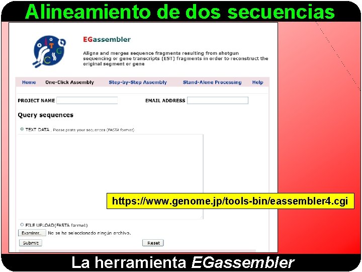 Alineamiento de dos secuencias https: //www. genome. jp/tools-bin/eassembler 4. cgi La herramienta EGassembler 