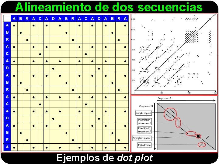 Alineamiento de dos secuencias Ejemplos de dot plot 