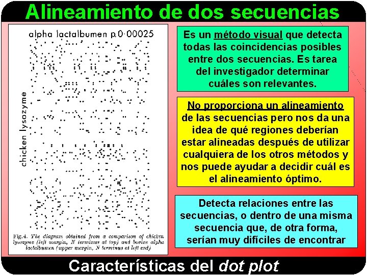Alineamiento de dos secuencias Es un método visual que detecta todas las coincidencias posibles