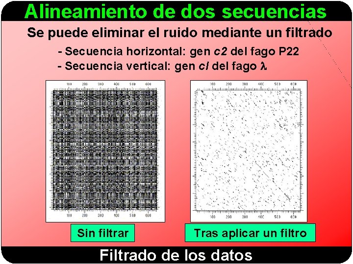 Alineamiento de dos secuencias Se puede eliminar el ruido mediante un filtrado - Secuencia