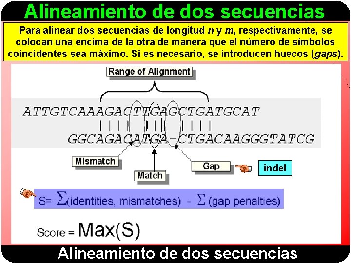Alineamiento de dos secuencias Para alinear dos secuencias de longitud n y m, respectivamente,
