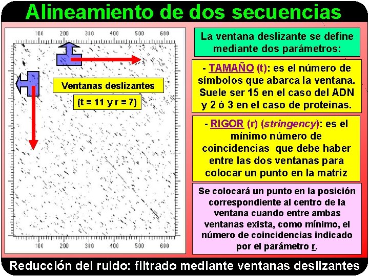 Alineamiento de dos secuencias La ventana deslizante se define mediante dos parámetros: Ventanas deslizantes