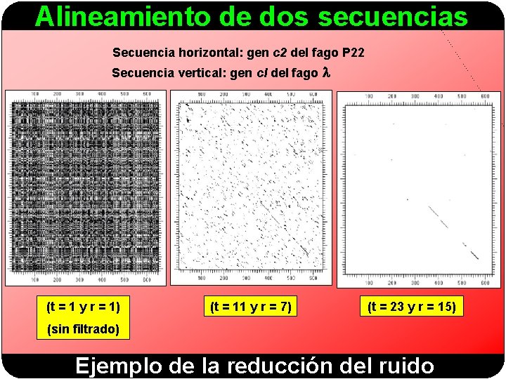 Alineamiento de dos secuencias Secuencia horizontal: gen c 2 del fago P 22 Secuencia
