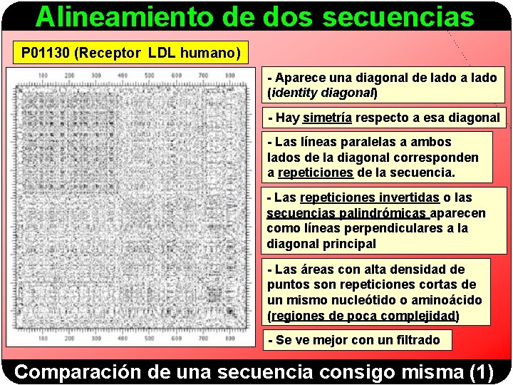 Alineamiento de dos secuencias P 01130 (Receptor LDL humano) - Aparece una diagonal de