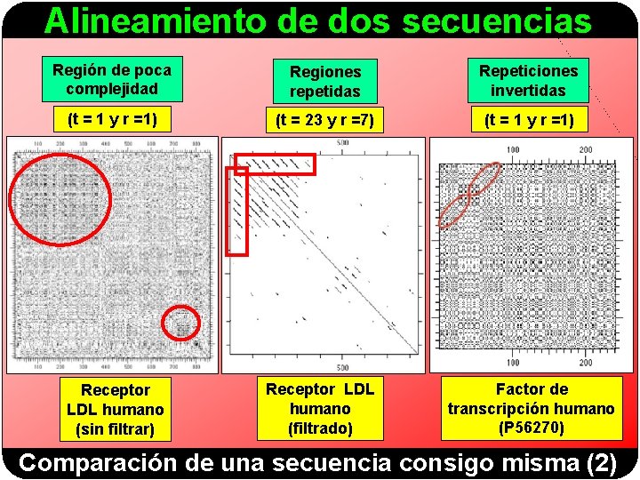 Alineamiento de dos secuencias Región de poca complejidad Regiones repetidas Repeticiones invertidas (t =