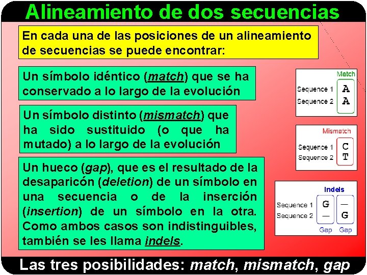 Alineamiento de dos secuencias En cada una de las posiciones de un alineamiento de