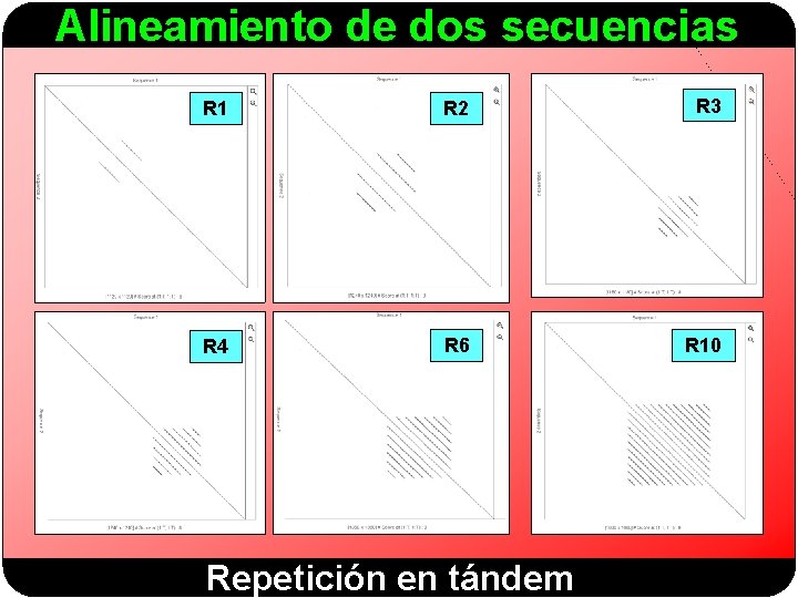 Alineamiento de dos secuencias R 1 R 2 R 3 R 4 R 6