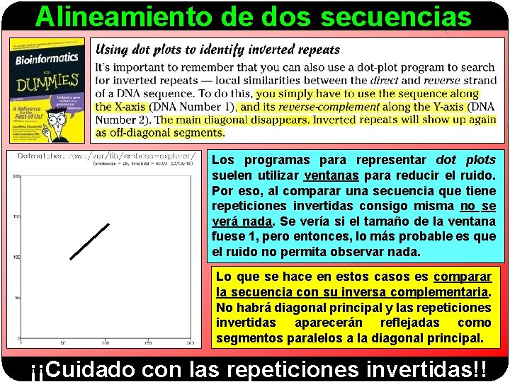Alineamiento de dos secuencias Los programas para representar dot plots suelen utilizar ventanas para