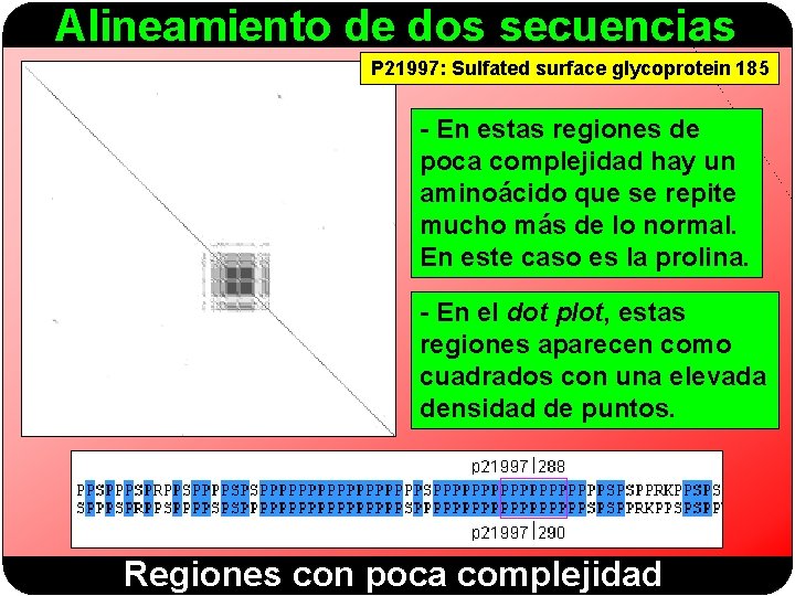 Alineamiento de dos secuencias P 21997: Sulfated surface glycoprotein 185 - En estas regiones