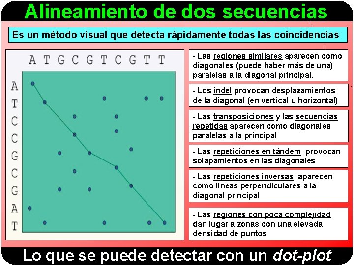 Alineamiento de dos secuencias Es un método visual que detecta rápidamente todas las coincidencias