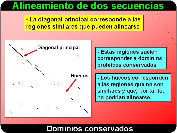 Alineamiento de dos secuencias - La diagonal principal corresponde a las regiones similares que
