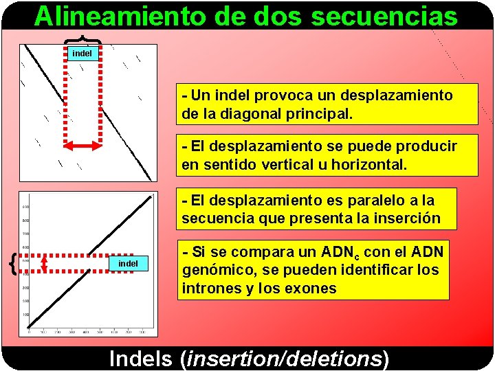 Alineamiento de dos secuencias indel - Un indel provoca un desplazamiento de la diagonal