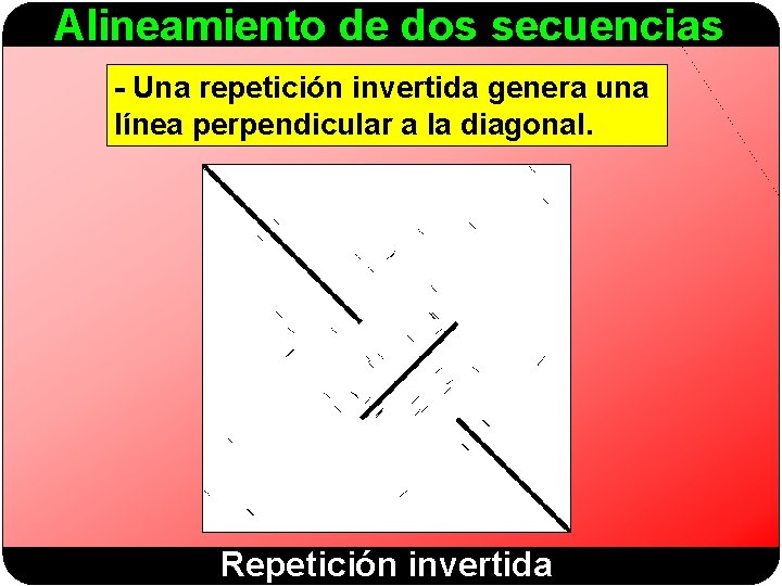 Alineamiento de dos secuencias - Una repetición invertida genera una línea perpendicular a la