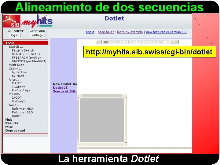 Alineamiento de dos secuencias http: //myhits. sib. swiss/cgi-bin/dotlet La herramienta Dotlet 