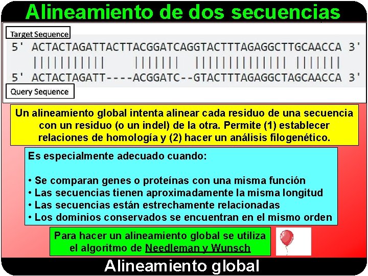 Alineamiento de dos secuencias Un alineamiento global intenta alinear cada residuo de una secuencia
