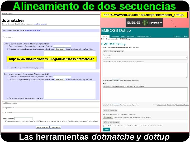 Alineamiento de dos secuencias https: //www. ebi. ac. uk/Tools/seqstats/emboss_dottup/ http: //www. bioinformatics. nl/cgi-bin/emboss/dotmatcher Las