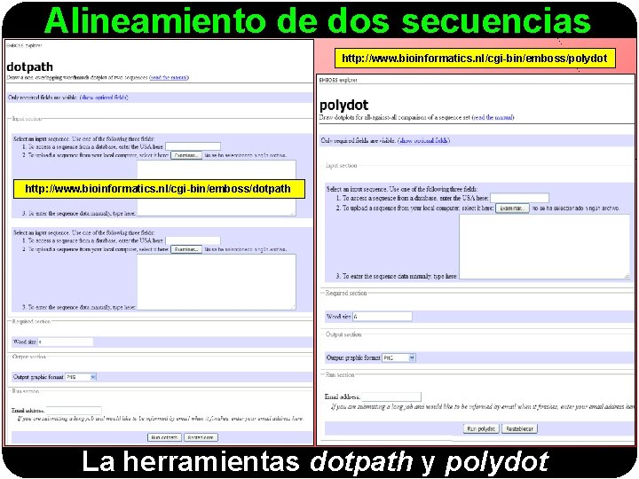 Alineamiento de dos secuencias http: //www. bioinformatics. nl/cgi-bin/emboss/polydot http: //www. bioinformatics. nl/cgi-bin/emboss/dotpath La herramientas