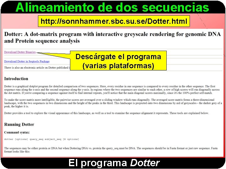 Alineamiento de dos secuencias http: //sonnhammer. sbc. su. se/Dotter. html Descárgate el programa (varias
