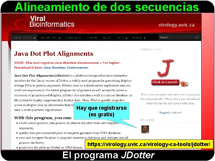Alineamiento de dos secuencias Hay que registrarse (es gratis) https: //virology. uvic. ca/virology-ca-tools/jdotter/ El
