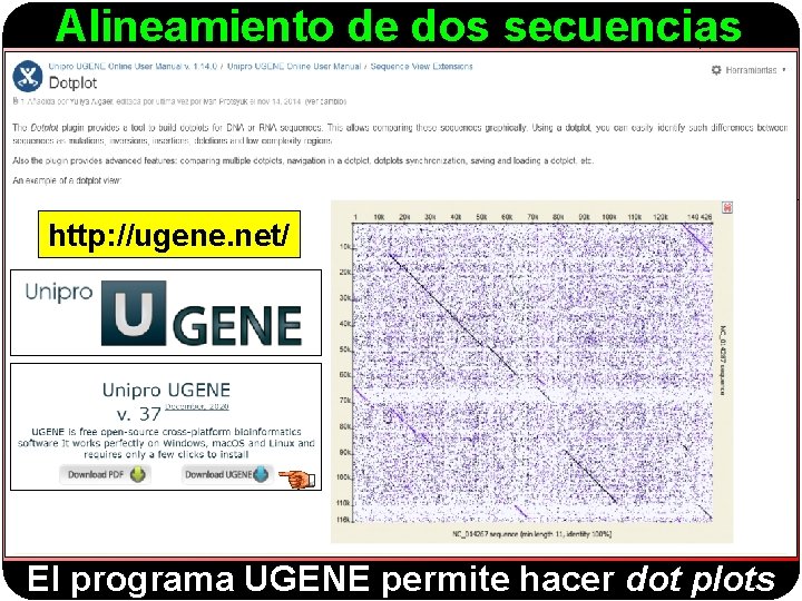Alineamiento de dos secuencias http: //ugene. net/ El programa UGENE permite hacer dot plots