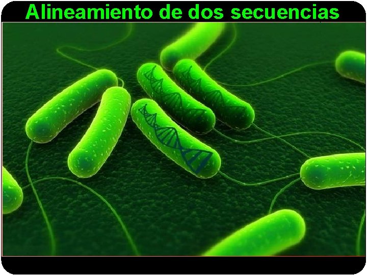 Alineamiento de dos secuencias 
