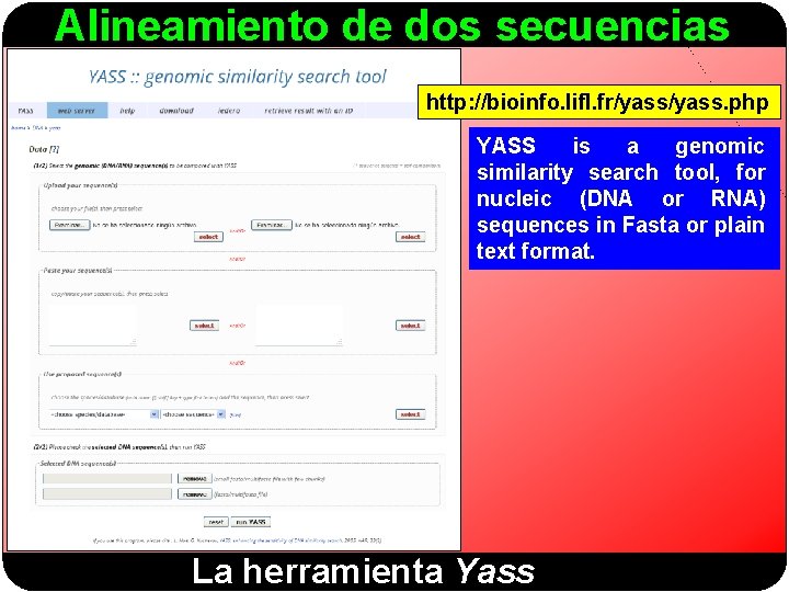 Alineamiento de dos secuencias http: //bioinfo. lifl. fr/yass. php YASS is a genomic similarity