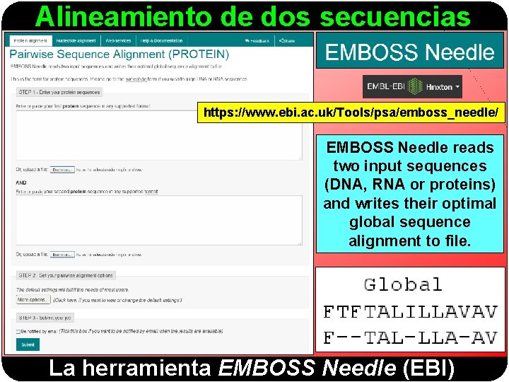 Alineamiento de dos secuencias https: //www. ebi. ac. uk/Tools/psa/emboss_needle/ EMBOSS Needle reads two input