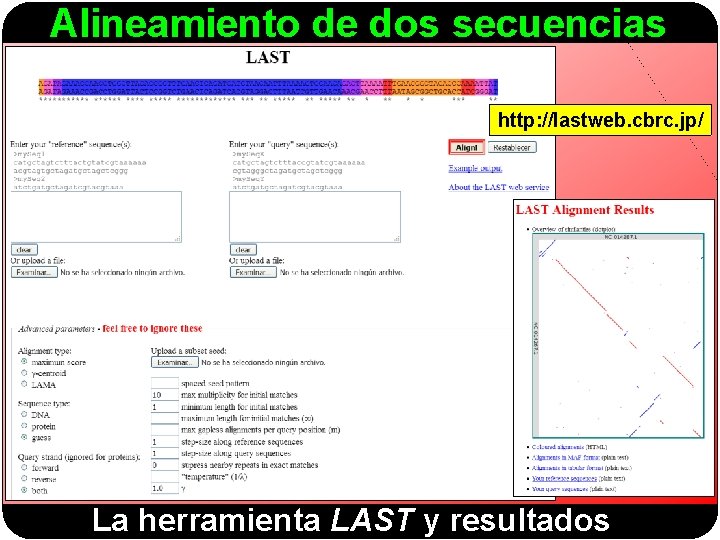 Alineamiento de dos secuencias http: //lastweb. cbrc. jp/ La herramienta LAST y resultados 