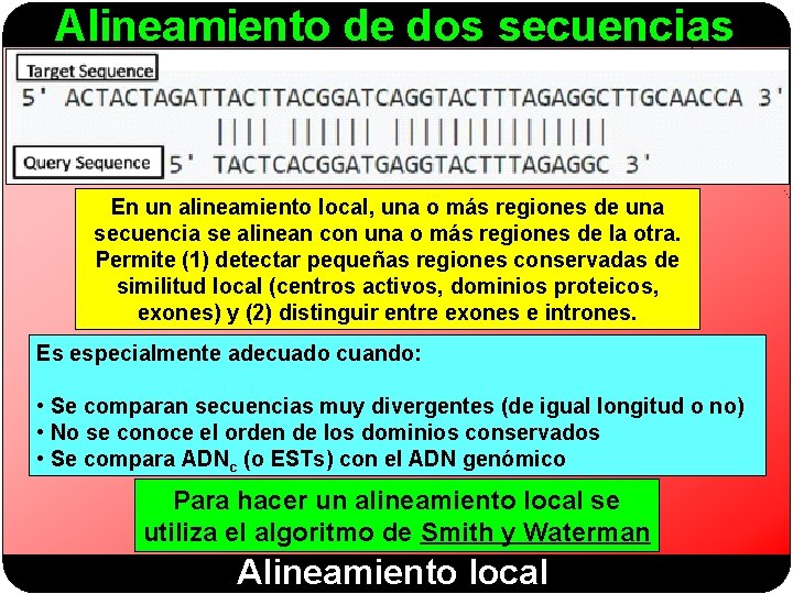 Alineamiento de dos secuencias En un alineamiento local, una o más regiones de una