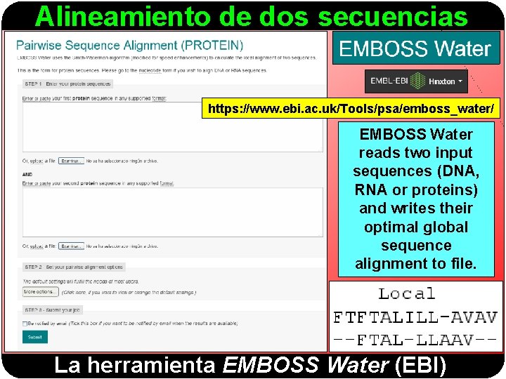 Alineamiento de dos secuencias https: //www. ebi. ac. uk/Tools/psa/emboss_water/ EMBOSS Water reads two input