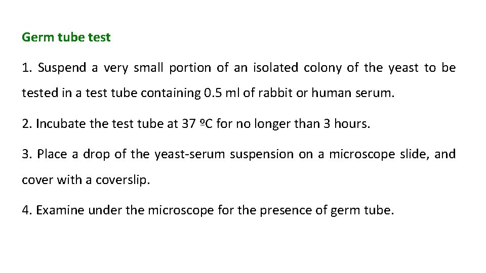 Germ tube test 1. Suspend a very small portion of an isolated colony of