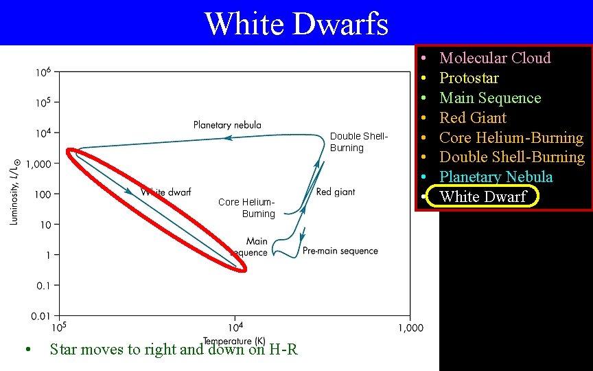 White Dwarfs Double Shell. Burning Core Helium. Burning • Star moves to right and