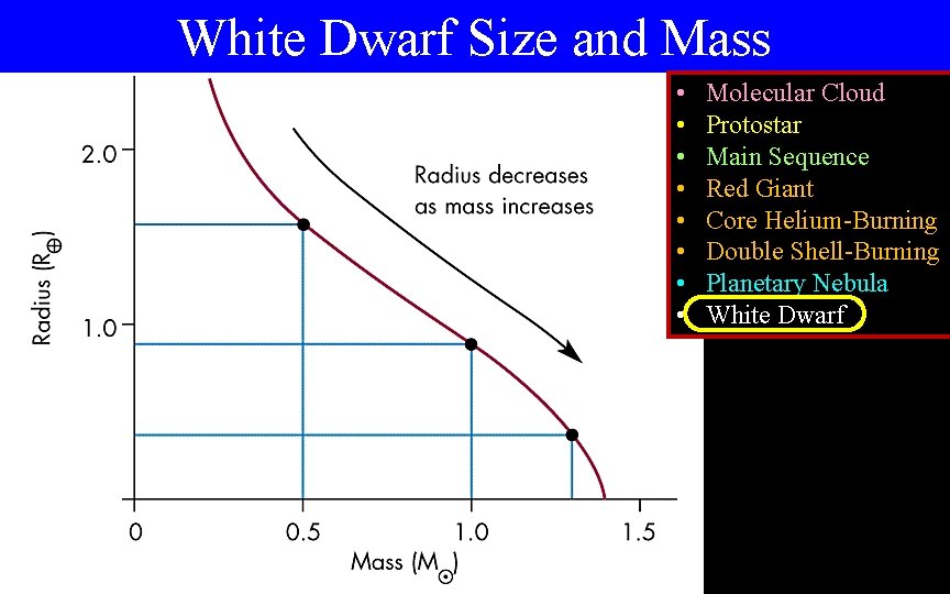 White Dwarf Size and Mass • • Molecular Cloud Protostar Main Sequence Red Giant