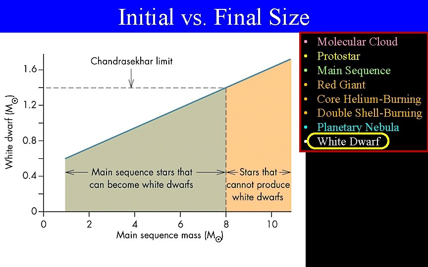 Initial vs. Final Size • • Molecular Cloud Protostar Main Sequence Red Giant Core