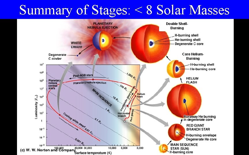 Summary of Stages: < 8 Solar Masses Double Shell. Burning Core Helium. Burning 