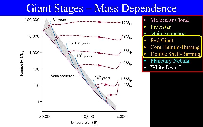 Giant Stages – Mass Dependence • • Molecular Cloud Protostar Main Sequence Red Giant