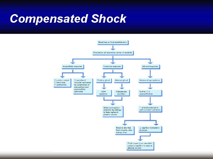 Compensated Shock 