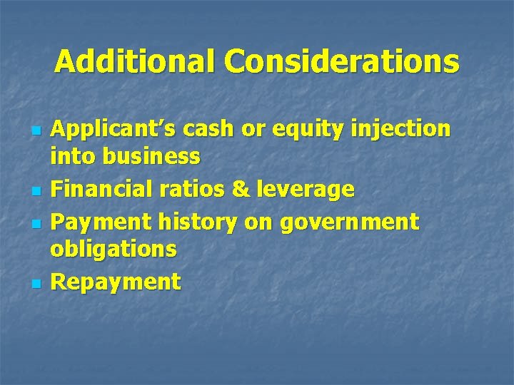 Additional Considerations n n Applicant’s cash or equity injection into business Financial ratios &