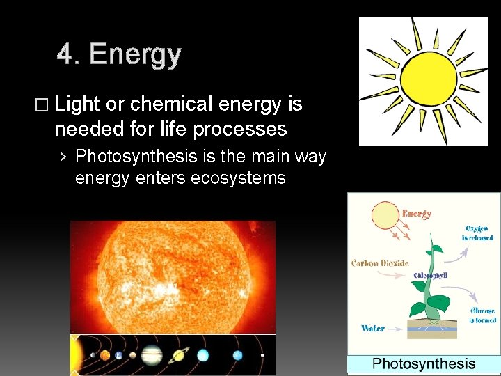 4. Energy � Light or chemical energy is needed for life processes › Photosynthesis