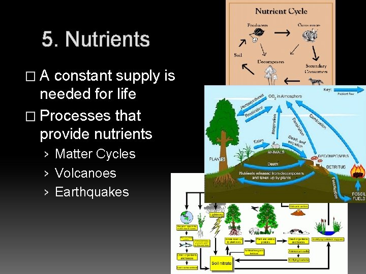 5. Nutrients �A constant supply is needed for life � Processes that provide nutrients