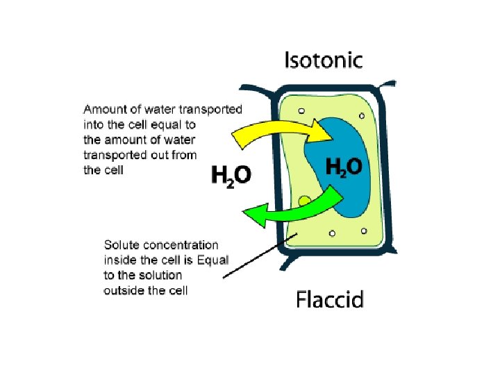 H 20 in or out 